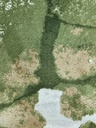 Ковер Tokio Современный 17974 Зеленый